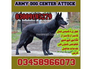 ARMY-DOG-CENTER-ATTOCK-