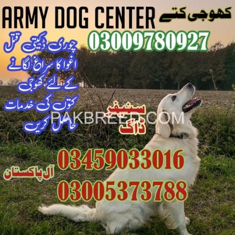 army-dog-center-attock-sragh-rsa-kogy-kt-big-1