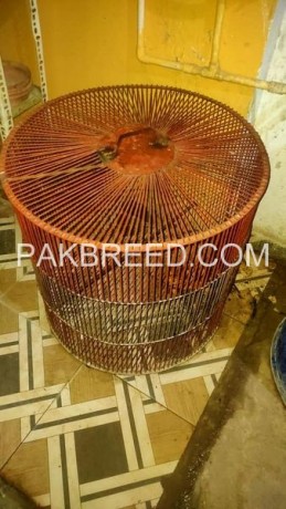 parrot-cage-for-sale-big-0