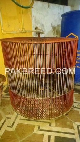 parrot-cage-for-sale-big-2