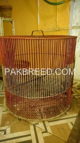 parrot-cage-for-sale-big-1