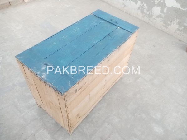 hen-cage-for-sale-in-faisalabad-big-0