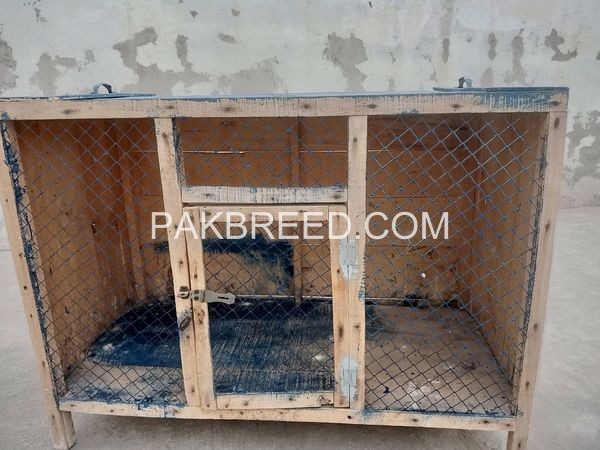 hen-cage-for-sale-in-faisalabad-big-2