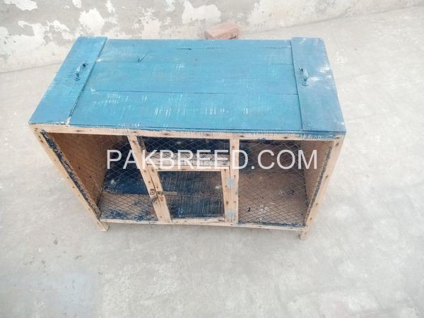 hen-cage-for-sale-in-faisalabad-big-1