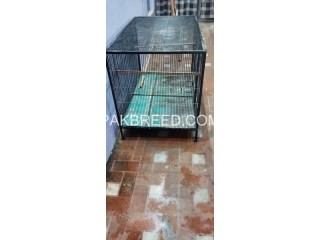 12 number wire Cage for Sale in Multan For Raw Ring Neck & For Love Birds