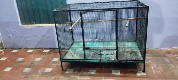 12-number-wire-cage-for-sale-in-multan-for-raw-ring-neck-for-love-birds-big-1