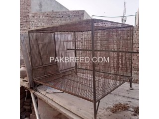 Raw cage for sale in Multan