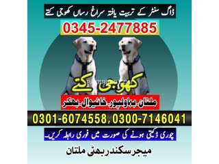 Army Dog Center Multan