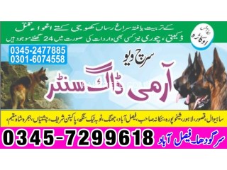 Army Dog Center Lahore