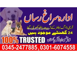 Army Dog Center Contect Number