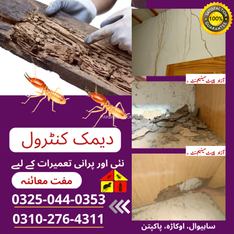 termite-deemak-pest-control-service-in-sahiwal-big-0