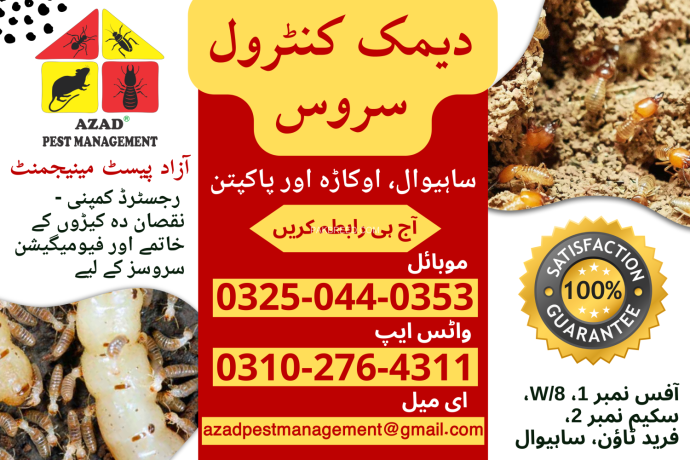 termite-deemak-pest-control-service-in-sahiwal-big-1