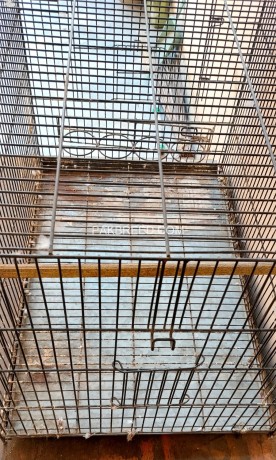 breeding-cage-for-raw-parrot-big-0