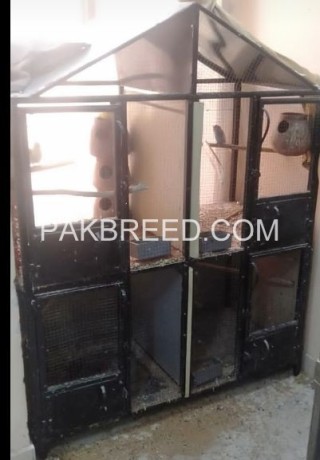 big-bird-cage-urgent-for-sale-in-good-condition-big-3