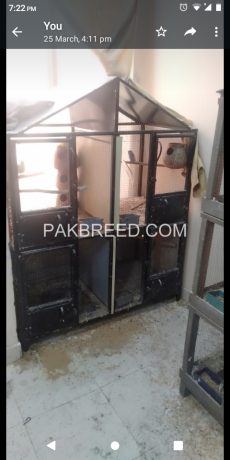 big-bird-cage-urgent-for-sale-in-good-condition-big-0