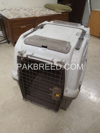 pet-cage-for-sale-in-karachi-big-0